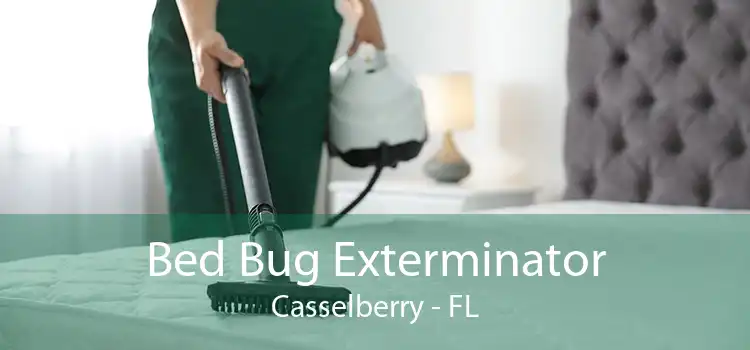 Bed Bug Exterminator Casselberry - FL