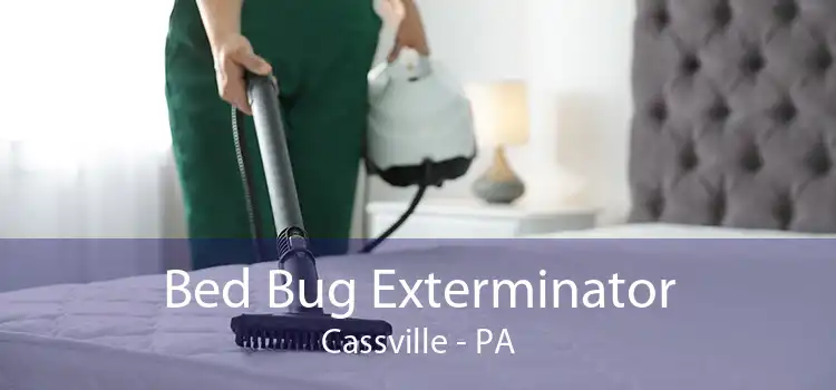 Bed Bug Exterminator Cassville - PA