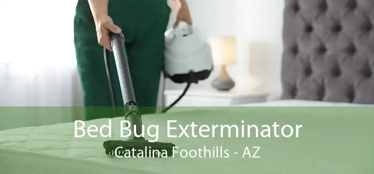 Bed Bug Exterminator Catalina Foothills - AZ