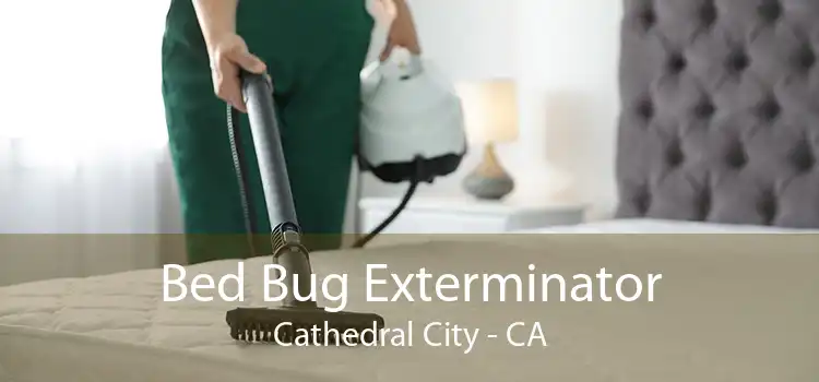 Bed Bug Exterminator Cathedral City - CA