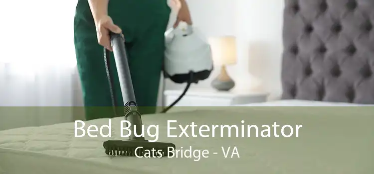 Bed Bug Exterminator Cats Bridge - VA