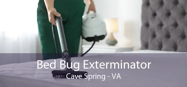 Bed Bug Exterminator Cave Spring - VA