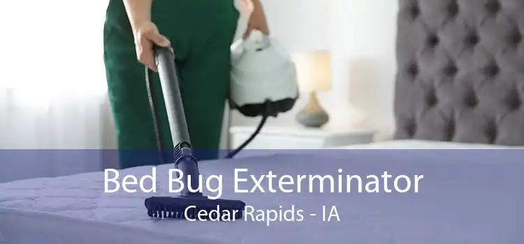 Bed Bug Exterminator Cedar Rapids - IA