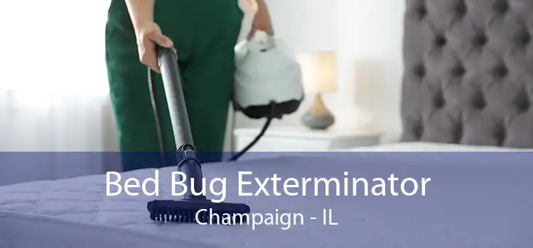 Bed Bug Exterminator Champaign - IL