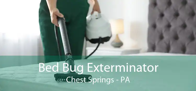 Bed Bug Exterminator Chest Springs - PA