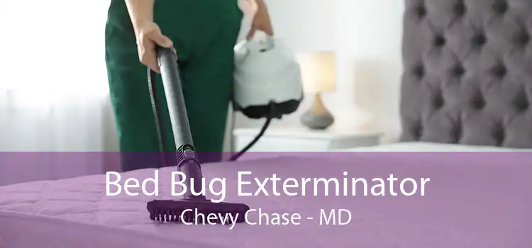 Bed Bug Exterminator Chevy Chase - MD