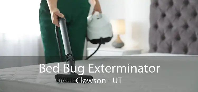 Bed Bug Exterminator Clawson - UT