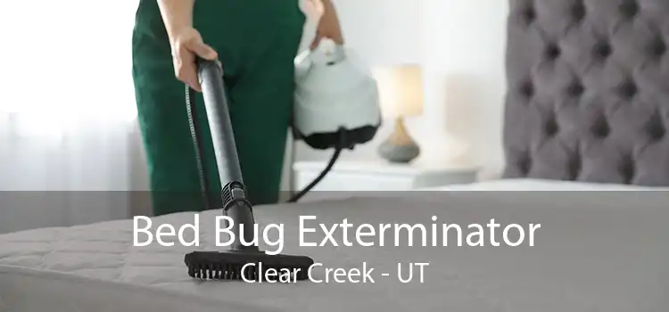 Bed Bug Exterminator Clear Creek - UT