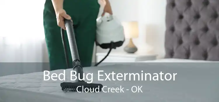 Bed Bug Exterminator Cloud Creek - OK