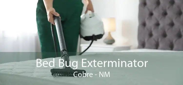 Bed Bug Exterminator Cobre - NM