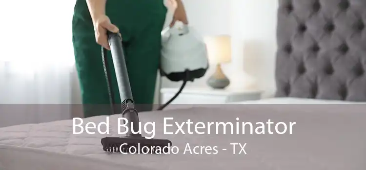 Bed Bug Exterminator Colorado Acres - TX