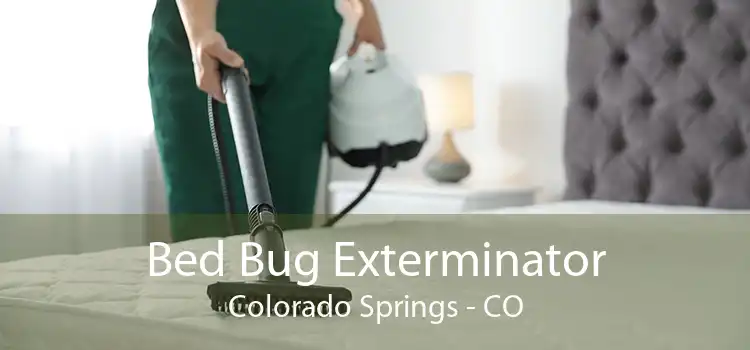 Bed Bug Exterminator Colorado Springs - CO