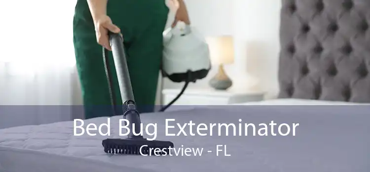 Bed Bug Exterminator Crestview - FL