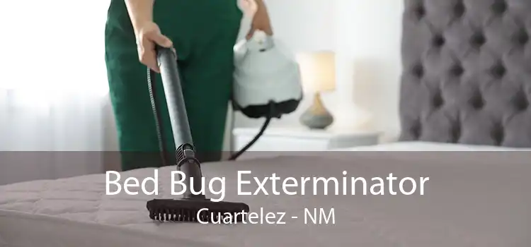 Bed Bug Exterminator Cuartelez - NM