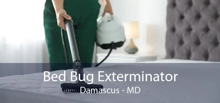 Bed Bug Exterminator Damascus - MD