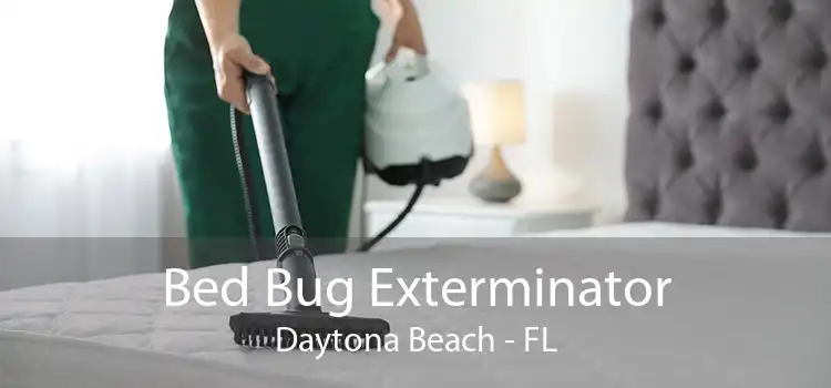 Bed Bug Exterminator Daytona Beach - FL