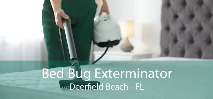 Bed Bug Exterminator Deerfield Beach - FL