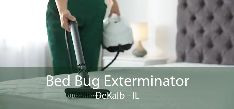 Bed Bug Exterminator DeKalb - IL