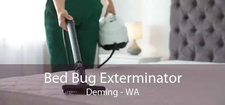 Bed Bug Exterminator Deming - WA