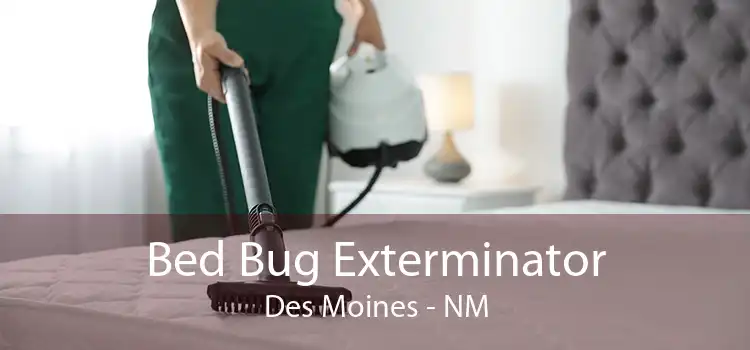 Bed Bug Exterminator Des Moines - NM