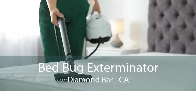 Bed Bug Exterminator Diamond Bar - CA