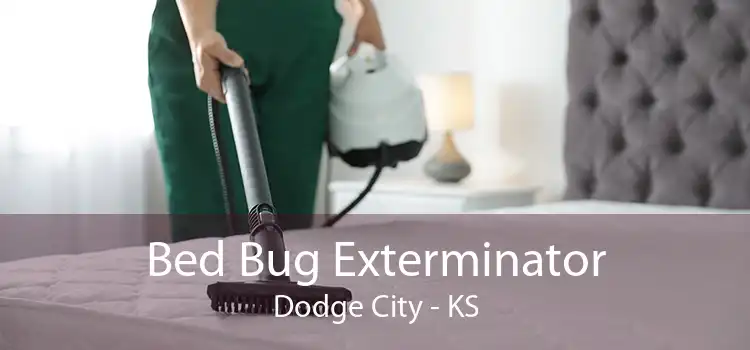 Bed Bug Exterminator Dodge City - KS