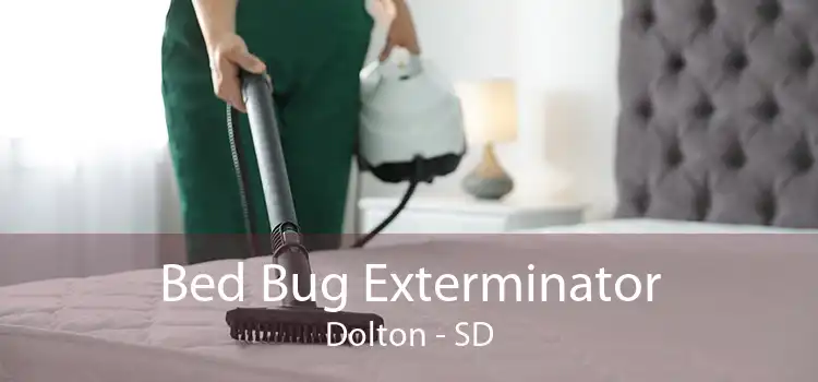 Bed Bug Exterminator Dolton - SD