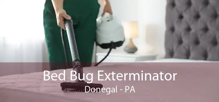 Bed Bug Exterminator Donegal - PA