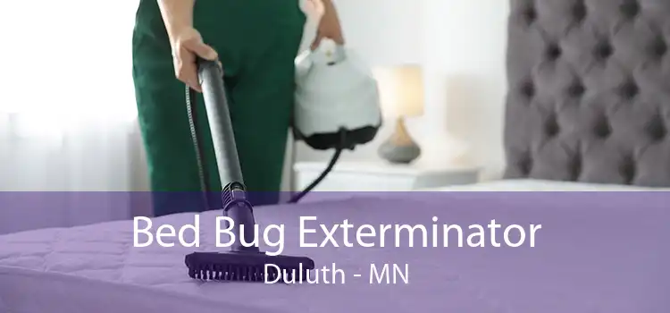 Bed Bug Exterminator Duluth - MN