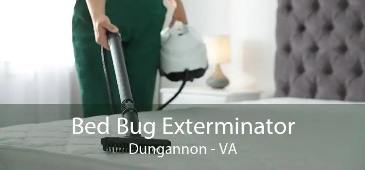 Bed Bug Exterminator Dungannon - VA