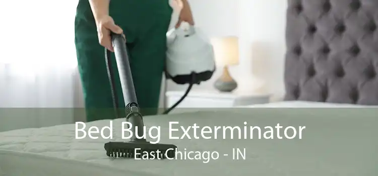 Bed Bug Exterminator East Chicago - IN