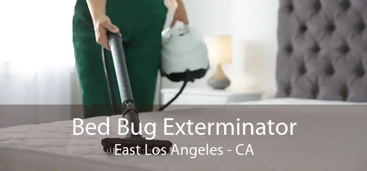 Bed Bug Exterminator East Los Angeles - CA