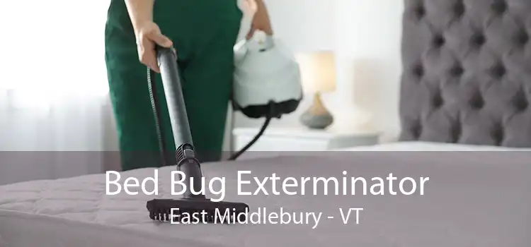 Bed Bug Exterminator East Middlebury - VT