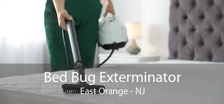 Bed Bug Exterminator East Orange - NJ