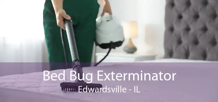 Bed Bug Exterminator Edwardsville - IL