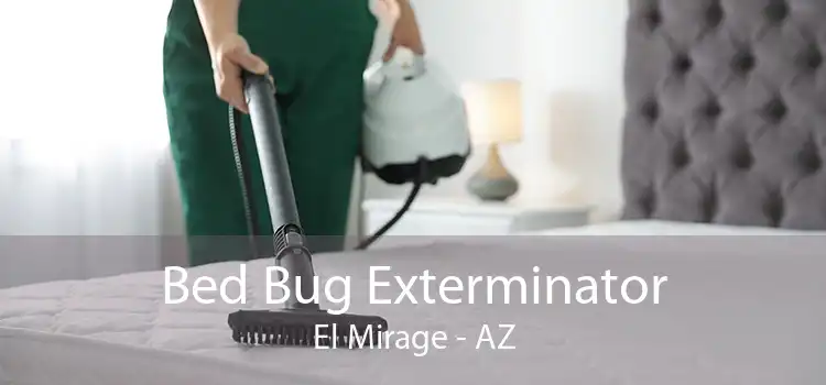 Bed Bug Exterminator El Mirage - AZ