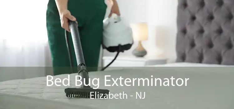 Bed Bug Exterminator Elizabeth - NJ