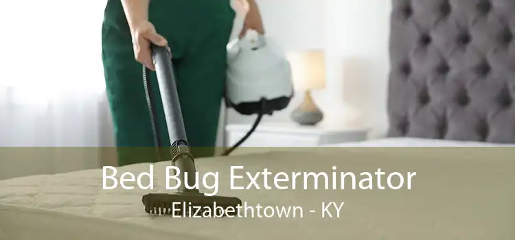 Bed Bug Exterminator Elizabethtown - KY