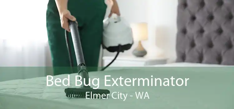 Bed Bug Exterminator Elmer City - WA