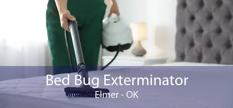 Bed Bug Exterminator Elmer - OK