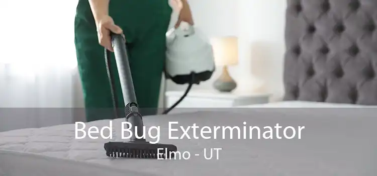 Bed Bug Exterminator Elmo - UT