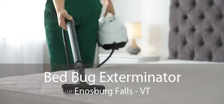 Bed Bug Exterminator Enosburg Falls - VT