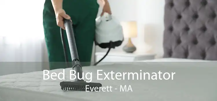 Bed Bug Exterminator Everett - MA