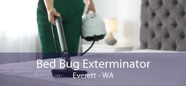 Bed Bug Exterminator Everett - WA