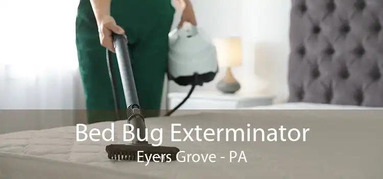 Bed Bug Exterminator Eyers Grove - PA