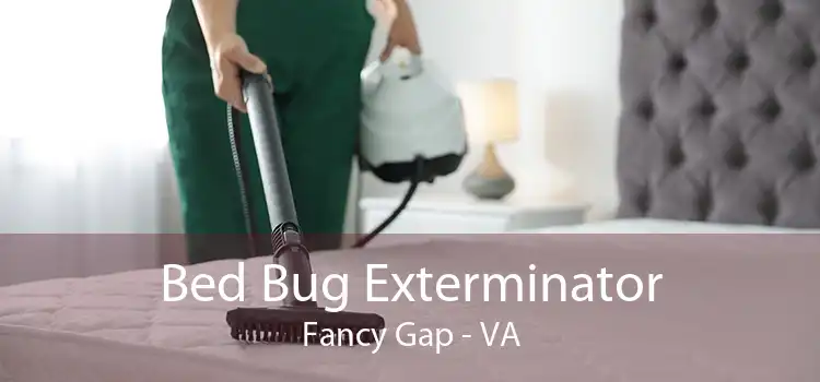 Bed Bug Exterminator Fancy Gap - VA