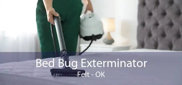 Bed Bug Exterminator Felt - OK