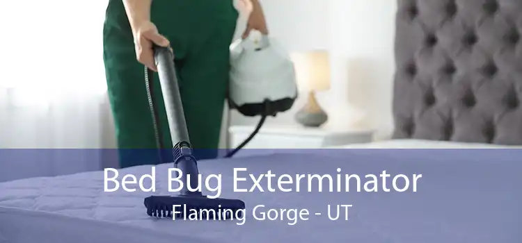 Bed Bug Exterminator Flaming Gorge - UT