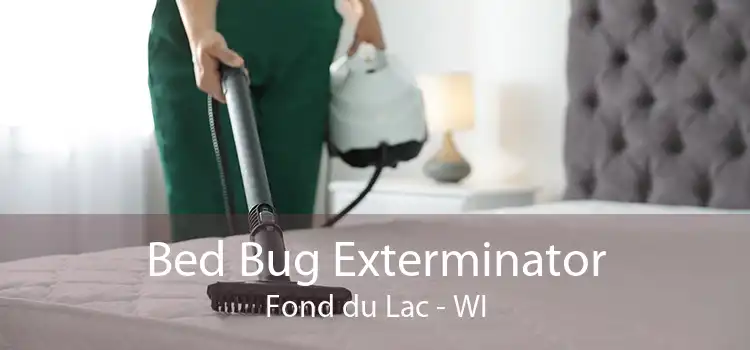 Bed Bug Exterminator Fond du Lac - WI