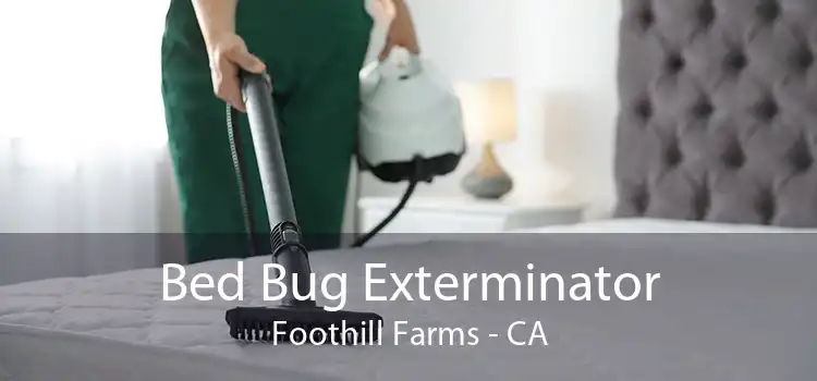 Bed Bug Exterminator Foothill Farms - CA